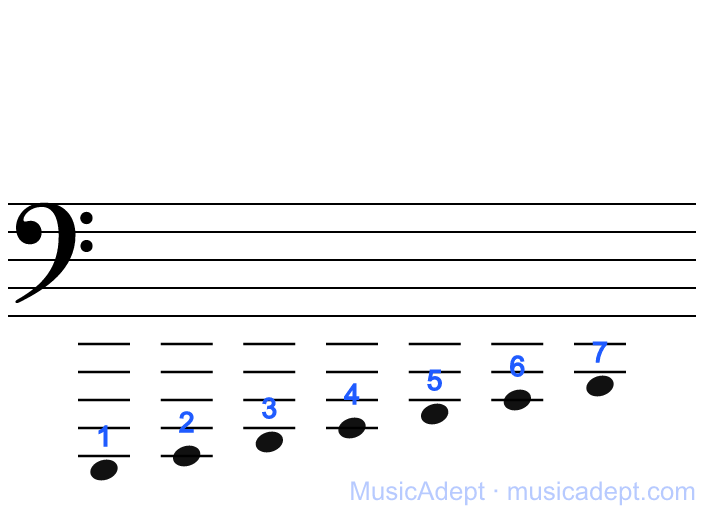 The C1 octave: 1 is on the fifth ledger line below the bass staff